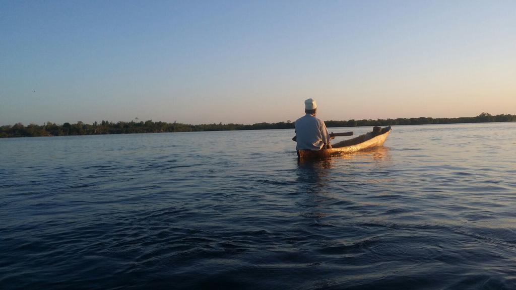 Dolphin Safari Lodge Mahonda Zewnętrze zdjęcie