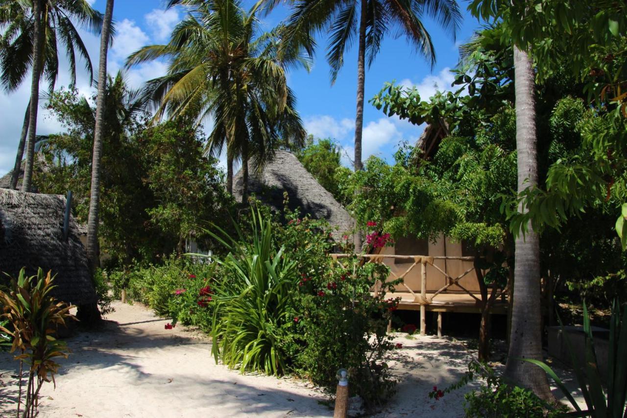 Dolphin Safari Lodge Mahonda Zewnętrze zdjęcie