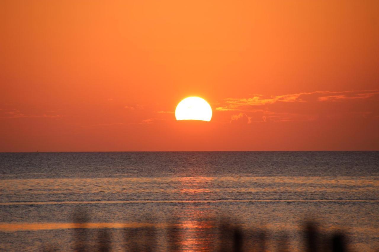 Dolphin Safari Lodge Mahonda Zewnętrze zdjęcie